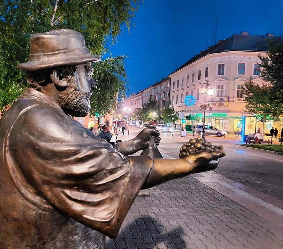 Apartament Hulk Vrsac Zewnętrze zdjęcie