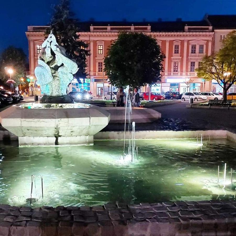 Apartament Hulk Vrsac Zewnętrze zdjęcie