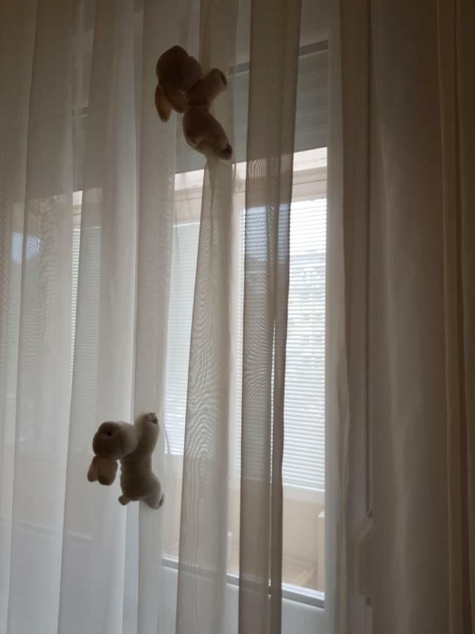 Apartament Hulk Vrsac Zewnętrze zdjęcie