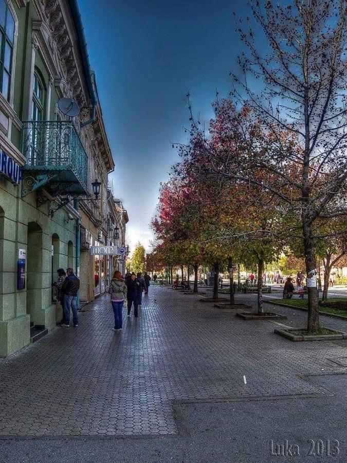 Apartament Hulk Vrsac Zewnętrze zdjęcie