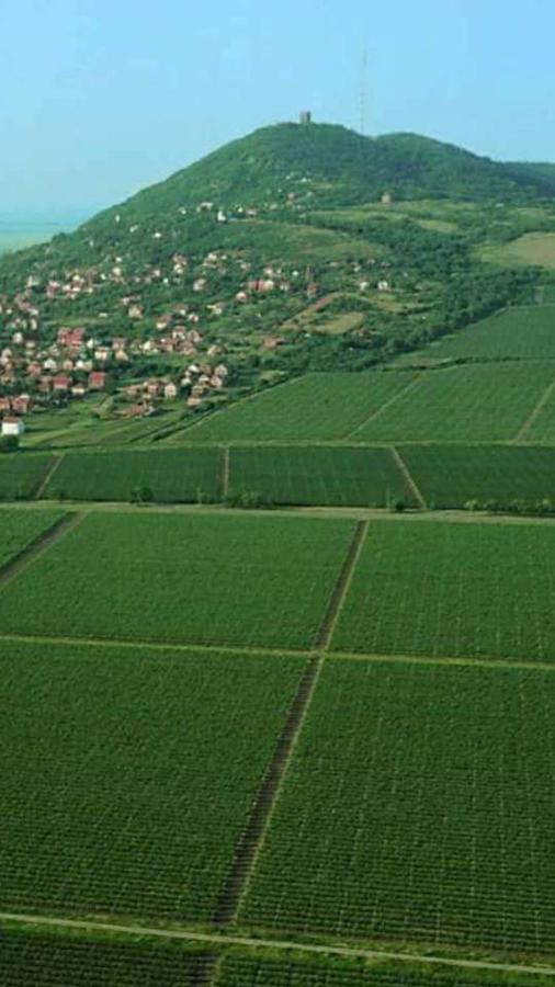 Apartament Hulk Vrsac Zewnętrze zdjęcie